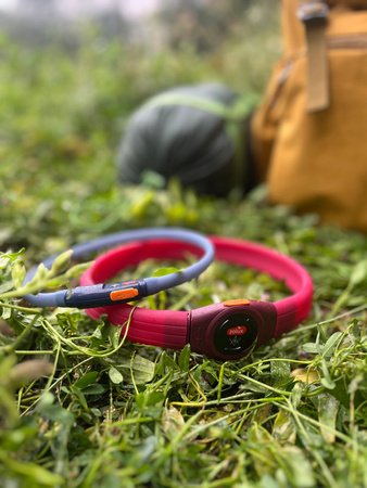 ZOLUX Obroża LED dla szczeniąt i małych psów świecąca silikon BIVOUAK nieb