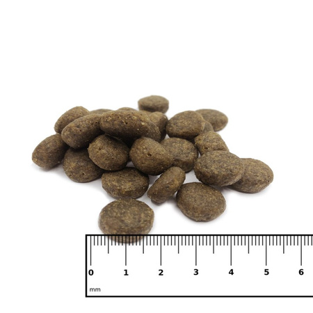 ICEPAW Scandic duck dzika kaczka karma dla dorosłych psów (2 kg)