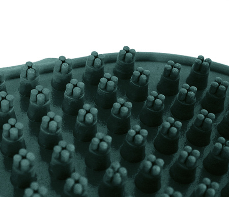 Zolux Szczotka do czyszczenia tkanin