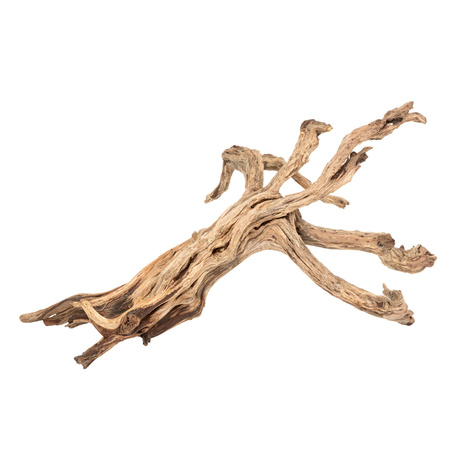 Drewno Dono woods  do akwarium / terrarium