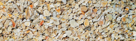 Zolux Podłoże mineralne do akwarium, do filtracji Calcifix 700g Actizoo