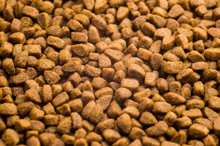 CLUB4Ł KOT 14kg ŁOSOŚ