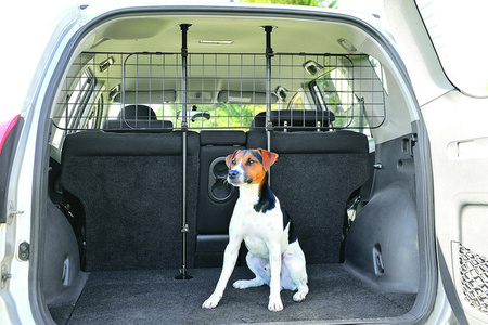 ZOLUX Krata ochronna do samochodu (minivan, 4x4, S.U.V.)