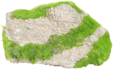 Zolux Ozdoba do akwarium szary kamień KIPOUSS M z nasionami