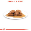 Royal Canin Maxi Ageing 8+ karma mokra w sosie dla psów dojrzałych, po 8 roku życia, ras dużych saszetka 140g