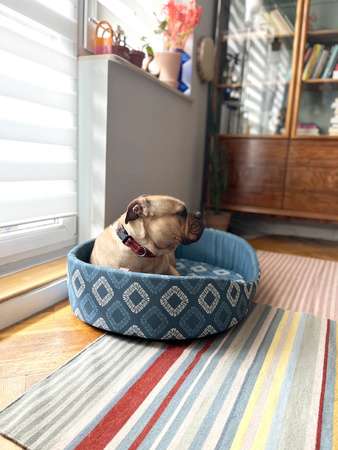 ZOLUX Poducha dla psa ze zdejmowanym pokrowcem ONE SIRIUS 100cm