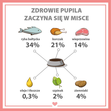 Karma mokra dla psa PUPIL Premium All Meat ADULT ryba bałtycka 400 g