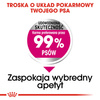 Royal Canin Mini Exigent karma sucha dla psów dorosłych, ras małych, wybrednych 3kg