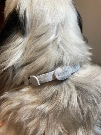 FRANCODEX PL Obroża na kleszcze PREVENDOG 35 cm dla psów do 5 kg - 2 szt