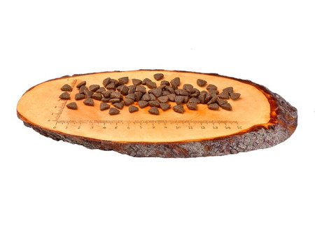 CARNILOVE KOT 6kg REINDER ENERGY&OUTDOOR