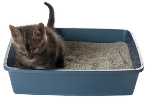 SUPER BENEK 5l COMPACT NIEBIESKI /221