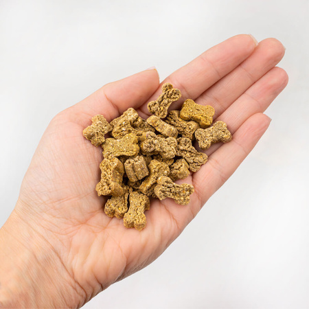 Tenetrio Hundekekse Hanf - ciasteczka z owadami, konopiami i batatami (200g)