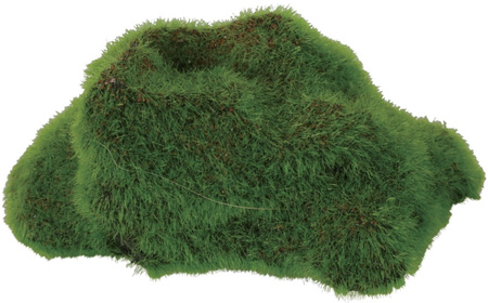 Zolux Ozdoba do akwarium chata KIPOUSS M z nasionami 16,7x9,6x15,2 cm