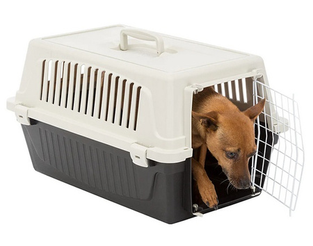 Ferplast Atlas 20 EL - transporter czarno-szary [73008717ELPA]