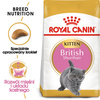 Royal Canin British Shorthair Kitten karma sucha dla kociąt, do 12 miesiąca, rasy brytyjski krótkowłosy 2kg