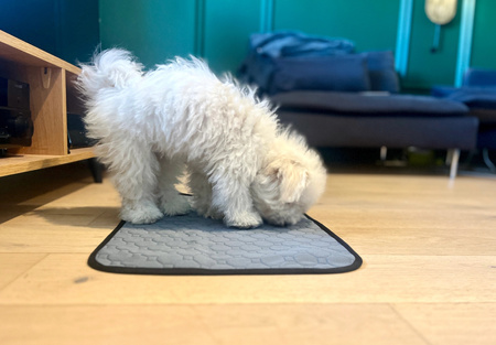 ZOLUX Mata higieniczna wielokrotnego użytku L 90x60 cm