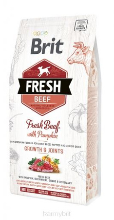 Brit Fresh Dog Puppy Large Beef & Pumpkin 2,5kg