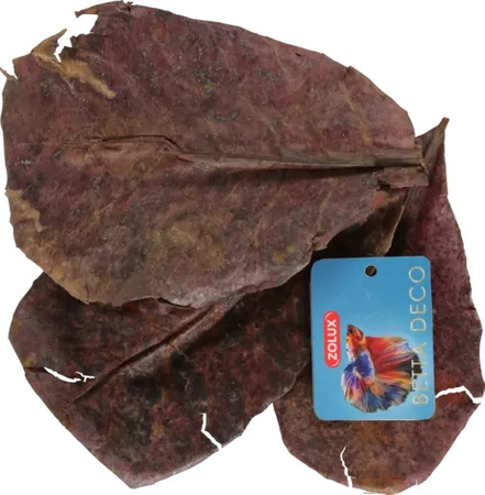 ZOLUX Liście migdałecznika właściwego x14 ograniczają rozwój grzybów