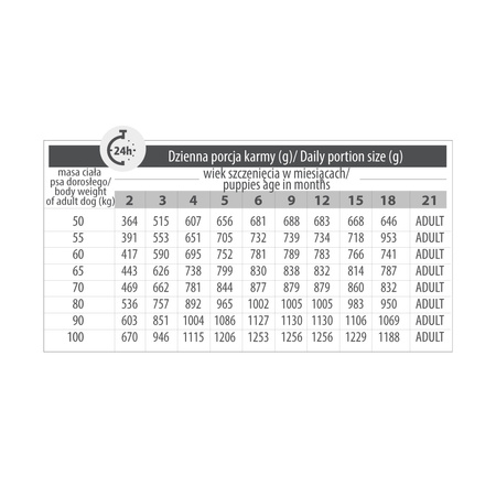 Karma sucha dla psa PUPIL Premium JUNIOR XL bogata w wołowinę 3 kg