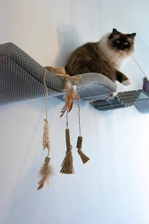 ZOLUX Zabawka dla kota wędka pompon z matatabi ETHICAT 40 cm