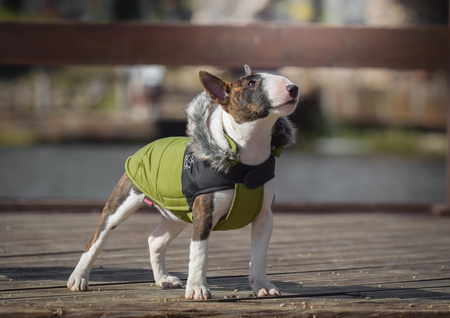 Zolux Ubranko puchowe MOUNTAIN T30 kol. khaki