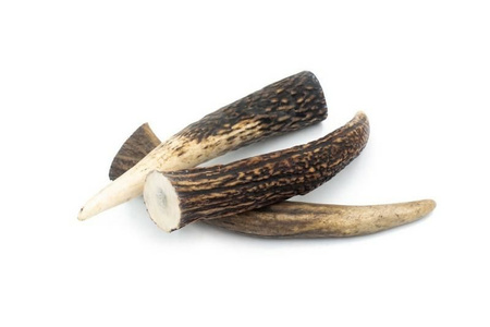 4DOGS SWINGERKI Z POROŻA JELENIA XXL      (HARD)