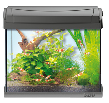 *- Tetra AquaArt Discovery Line Shrimps Aquarium Complete Set 20L