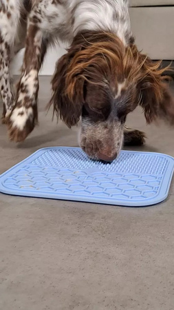 ZOLUX Mata silikonowa do lizania dla psa i kota L Giant niebieska 30x30 cm