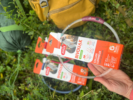 ZOLUX Obroża LED dla szczeniąt i małych psów świecąca silikon BIVOUAK nieb