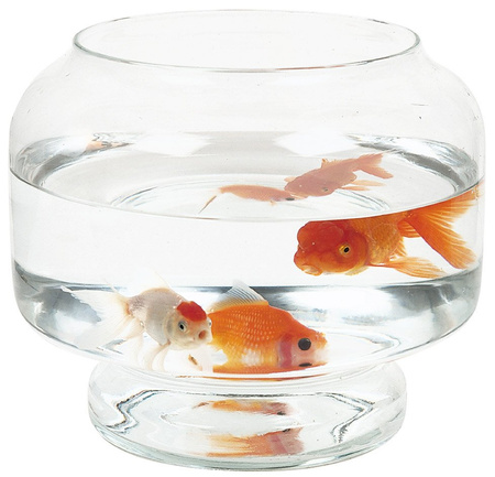 Zolux Akwarium kula Neptun 25 cm 6 l