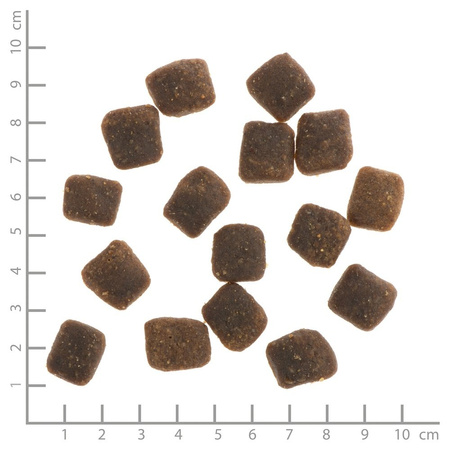 WILDES LAND DOG Soft Huhn - kurczak półwilgotna karma dla psa (5kg)