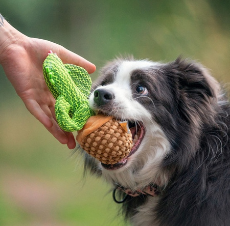 Dingo Zabawka dla psa - Kaktus Dolores 19cm