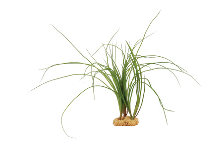 ZOLUX Ozdoba do akwarium rośliny Tropical 35,5 cm