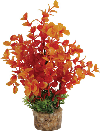 ZOLUX Ozdoba do akwarium roślina średnia z zestawu nr 2