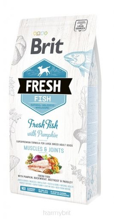 Brit Fresh Dog Adult Large Fish & Pumpkin 2,5kg