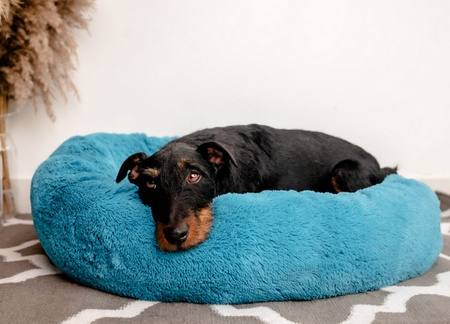 MIMIKO Pets Legowisko Shaggy okrągłe XL 75cm turkusowe