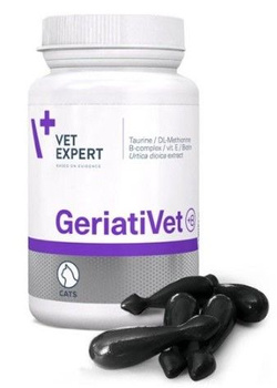 GERIATIVET CAT POJEMNIK 60 KAPS.