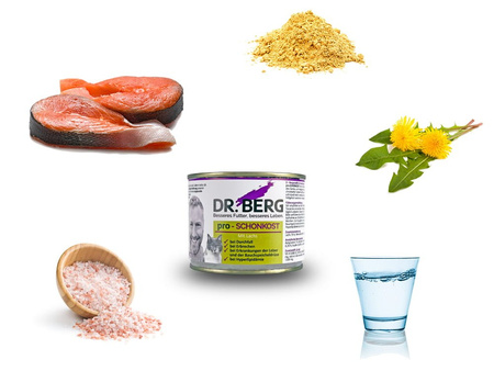 Dr. BERG Pro-SCHONKOST dla kotów - trzustka, wątroba, żołądek 190 g