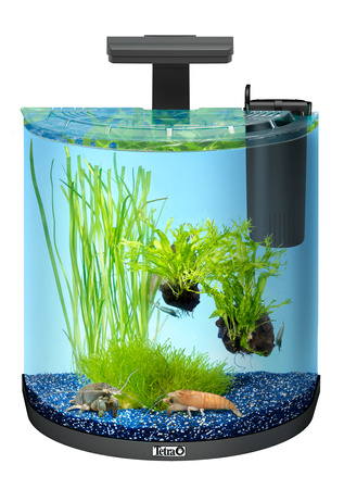 *- Tetra AquaArt Explorer Line 30 l Crayfish