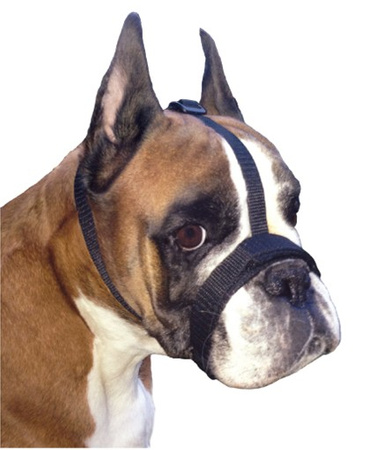 Grande Finale Kaganiec dla psa pekińczyk rozmiar 2 (15-24cm)