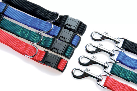 Zolux Obroża dla psa nylonowa taśma 30/40cm 15mm kol. niebieski