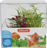 ZOLUX Ozdoba do akwarium rośliny mix x 4 szt. zestaw 4