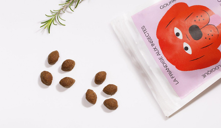 TOMOJO karma z insektów dla psów (2kg)