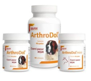 DOLFOS ARTHRODOL MINI 60 TABL.