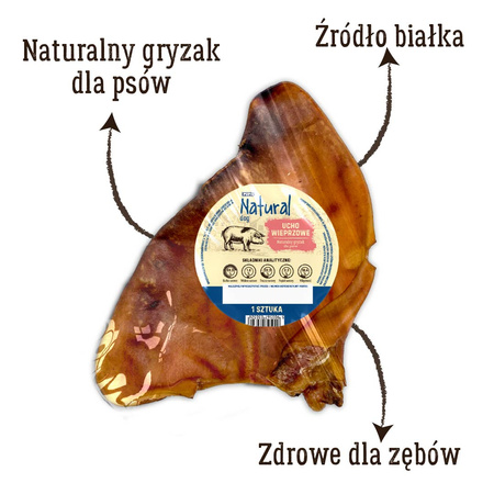 Ucho wieprzowe NATURAL suszony gryzak dla psa 1 sztuka