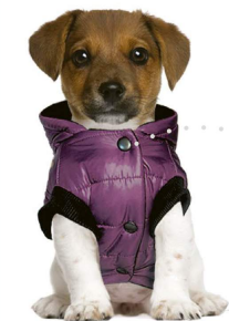 Pchełka kurtka dla psa LOVE czarna M