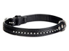 Dingo Obroża Glamour 1,4x30cm czarna
