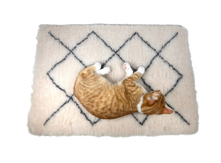 Zolux Dry bed posłanie izolujące dla psa wzór berberyjski 50x70 cm kol. beż