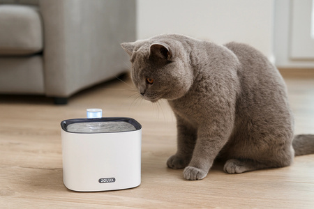 Zolux Fontanna poidło dla kota IGUAZU 3 l