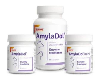 DOLFOS  AMYLADOL MINI 90 TABL